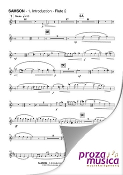SAMSON Oratorio (flute 2)